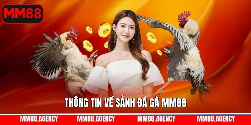 Thông tin chung về sảnh chơi trực tuyến đình đám Thông tin chung về sảnh chơi trực tuyến đình đám