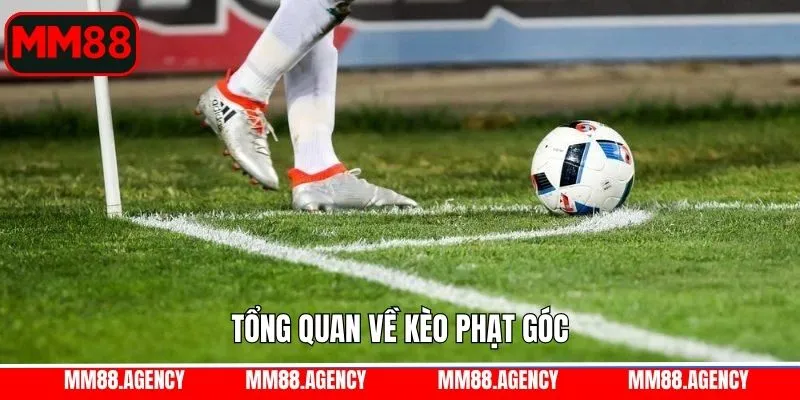 Sơ lược chi tiết về kèo cá cược tại MM88 Sơ lược chi tiết về kèo cá cược tại MM88